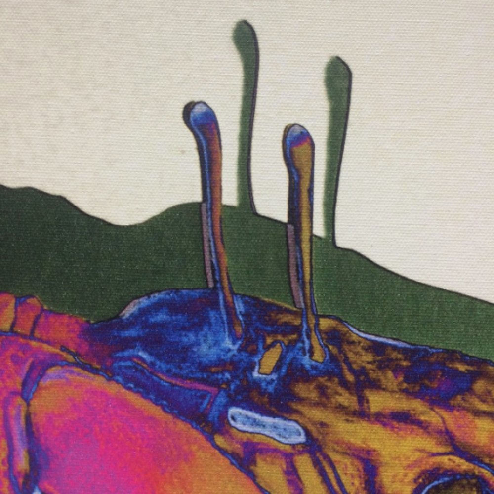 Fiddler Crab - Original Wall Art print on 12 x 12 canvas - Picture 4 of 6